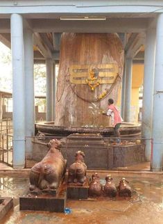 an outdoor area with statues and a large wooden tree in the background, surrounded by blue pillars