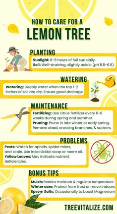 a poster with lemons and other things to do in the summertime time, including water