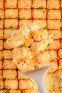 a spoon full of tater tots sitting on top of a pan covered in cheese