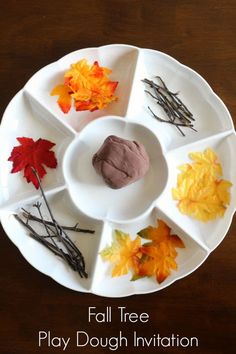 a white plate topped with different types of autumn leaves and chocolate frosting on top of it