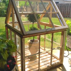 a house shaped greenhouse with potted plants inside