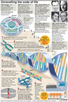 an info poster showing the different types of medical devices and their functions in this image