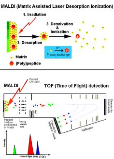 two diagrams showing the different types of lasers and their respective locations in each region