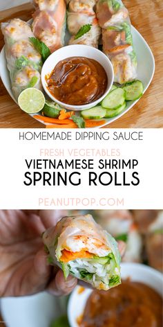 vietnamese shrimp spring rolls with dipping sauce