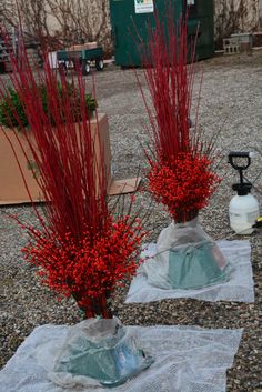 two vases filled with red flowers sitting on top of a gravel covered ground next to each other