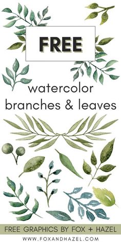 watercolor branches and leaves with the text free