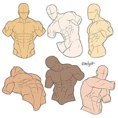 an image of different body types