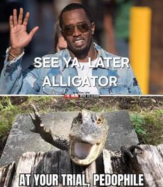 two pictures one with an alligator and the other has a caption that reads see ya later alligator at your trial, peopile