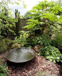 a bowl sitting on top of a pile of gravel in a garden area with trees and bushes