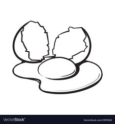 cracked egg and an egg shell on a white background