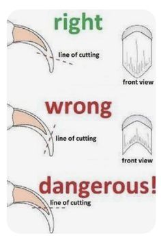 the instructions for how to cut your own fingernails and wear them in different ways