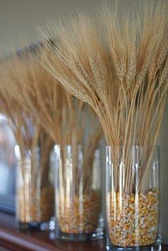 three glass vases filled with wheat on top of a shelf