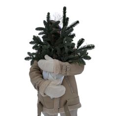 a stuffed animal holding a small tree in its arms and wearing winter clothes on it's back