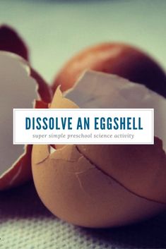 dissolve an eggshell Easy Preschool Science, Toddler Science, Montessori Science, Science For Toddlers, Preschool Science Activities, Science Experiments For Preschoolers, Farm Activities, Preschool Science, Science Experiment