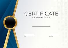 an award certificate with a gold ribbon and a black circle on the center, in front of a blue background