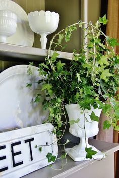 a white vase filled with green plants on top of a shelf