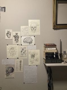 a wall covered in lots of different types of medical notes and drawings next to a mirror