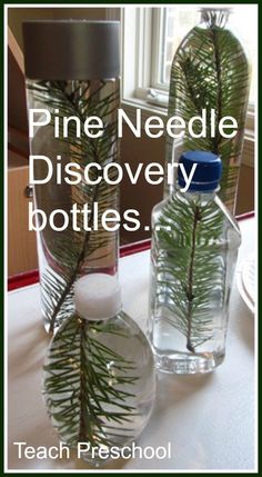 two bottles with pine needles in them sitting on a table next to each other and the words pine needle discovery bottles