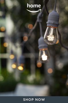 some light bulbs hanging from a tree outside