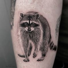 a raccoon tattoo on the right leg