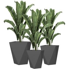 three planters with plants in them on a white background