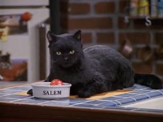 a black cat sitting on top of a table next to a bowl