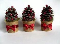 three pine cones decorated with red bows and berries are sitting next to each other on a white surface