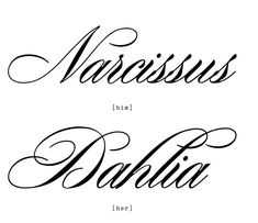 two different font styles with the words naissus and dahili in cursive