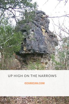 an up high on the narrows sign is in front of some trees and bushes