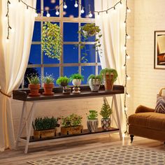 a living room filled with lots of plants next to a window covered in fairy lights