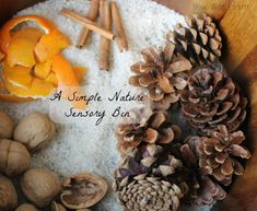 pine cones, oranges and nuts are arranged in a bowl with the words a simple nature memory bin