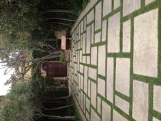 an outdoor walkway with grass and trees