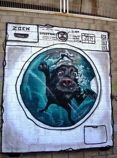 a mural on the side of a building depicting a dog in a washing machine