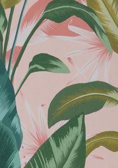 a pink and green tropical wallpaper with palm leaves