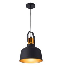 a black and gold pendant light hanging from a ceiling fixture with an adjustable cord on the end