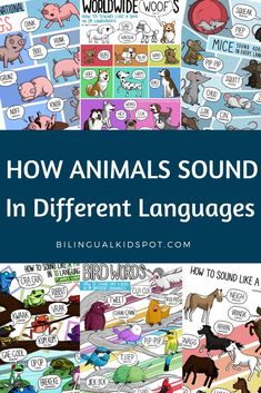 how animals sound in different languages with the title overlay that reads, how animals sound in different languages