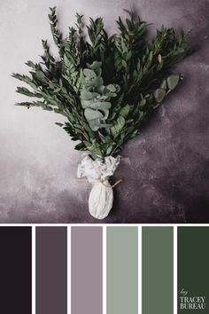 a bunch of green plants sitting on top of a gray table with white ribbons around them