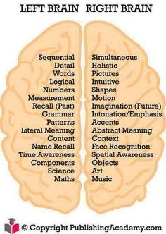 Left And Right Brain, Left Brain Right Brain, Left Brain, Brain Facts, Brain Anatomy, The Human Brain, Brain Science, Right Brain, Medical Knowledge