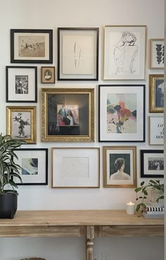 a wall with many framed pictures on it and a potted plant in the corner