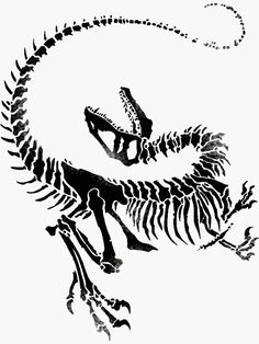 a black and white drawing of a dinosaur skeleton