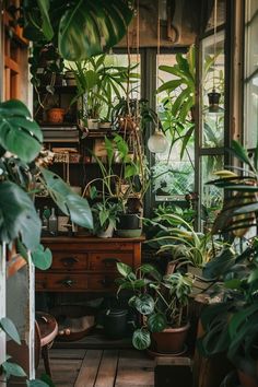 a room filled with lots of potted plants next to a wooden table and window