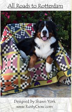 a dog laying on top of a couch covered in a blanket with the words, all roads to rotterham