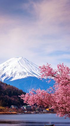 there is a boat on the water with pink flowers in front of a snow covered mountain