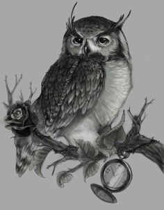 an owl sitting on top of a tree branch next to a pocket watch and roses