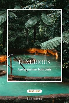 an image of a pool surrounded by trees and plants with the words luxurious asozes thermal bath oasis