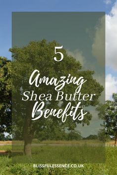 Shea butter has a plethora of benefits, here's a quick breakdown of 5 - great moisturiser, anti-inflammation and more. I love what shea butter has done for me and the true benefits are endless… More Skincare Goals