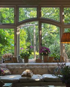 a living room filled with furniture and lots of windows covered in plants on top of them