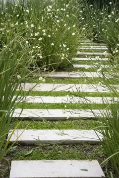 a garden path made out of stepping stones and grass