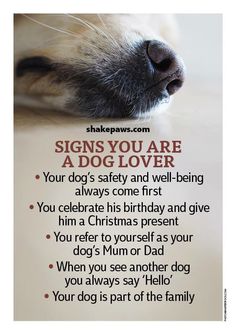 a dog's paw is shown with the words, signs you are a dog lover