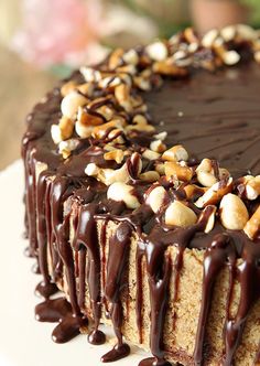 a chocolate cake with nuts on top and drizzled in chocolate icing